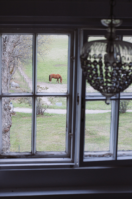 Yksityiskohtia kartanolta